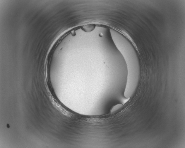 X0000078841132200612041832