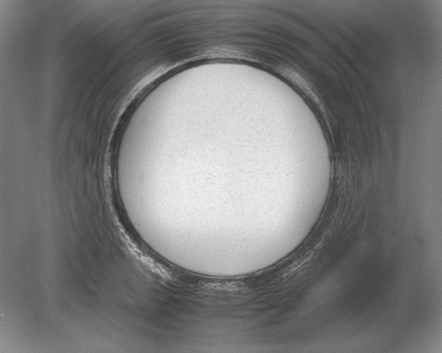 X0000078841133200612041832