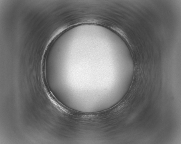 X0000078841135200612041832