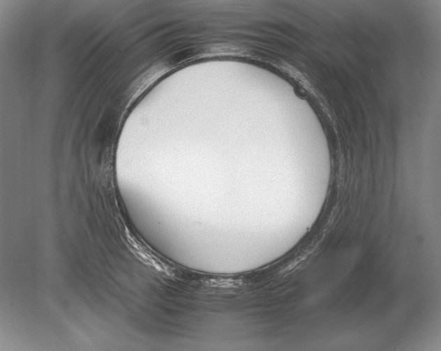 X0000078841137200612041832