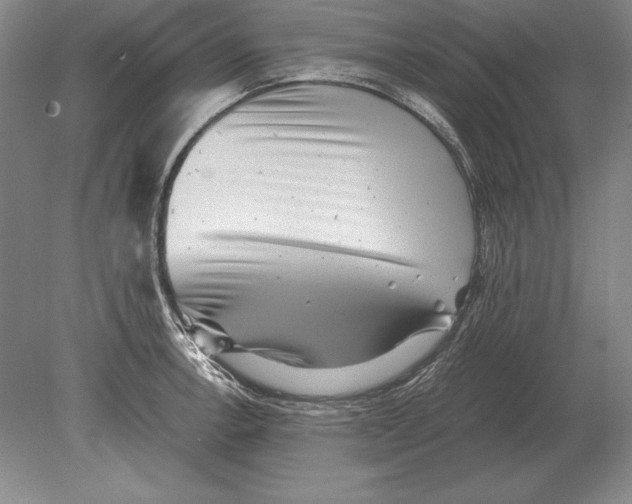 X0000078841138200612041832