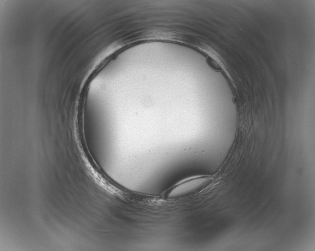 X0000078841139200612041832