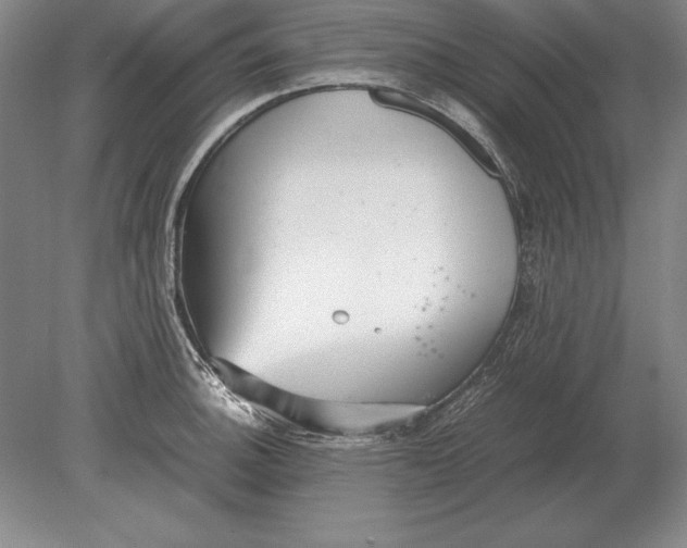 X0000078841140200612041832