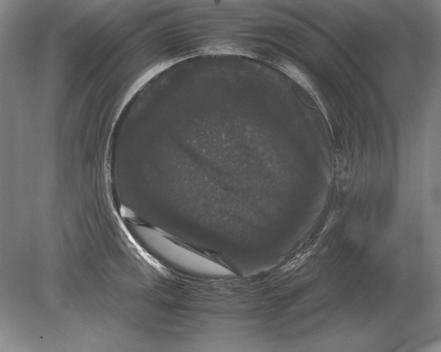 X0000078841141200612041832