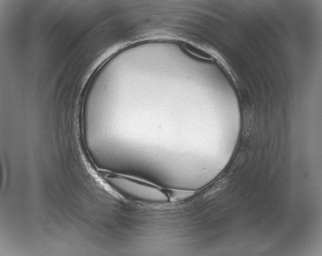 X0000078841142200612041833