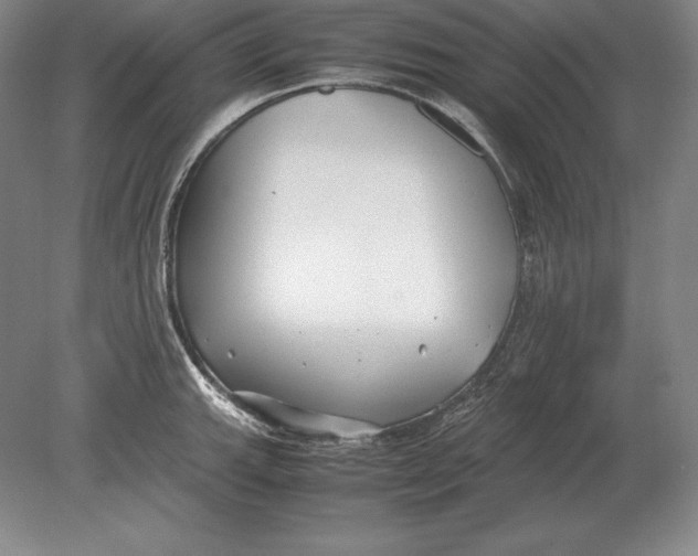 X0000078841143200612041833