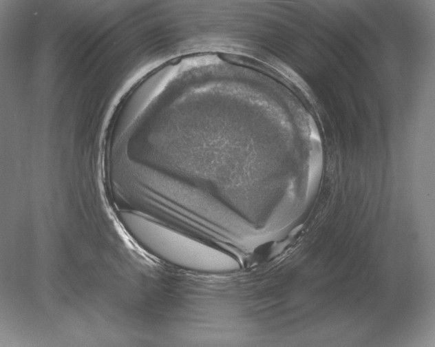 X0000078841144200612041833