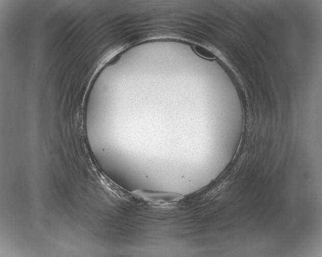 X0000078841145200612041833