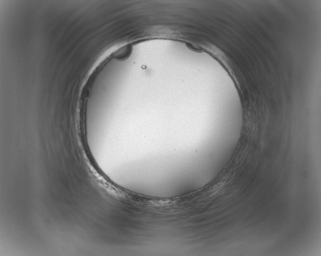 X0000078841147200612041833