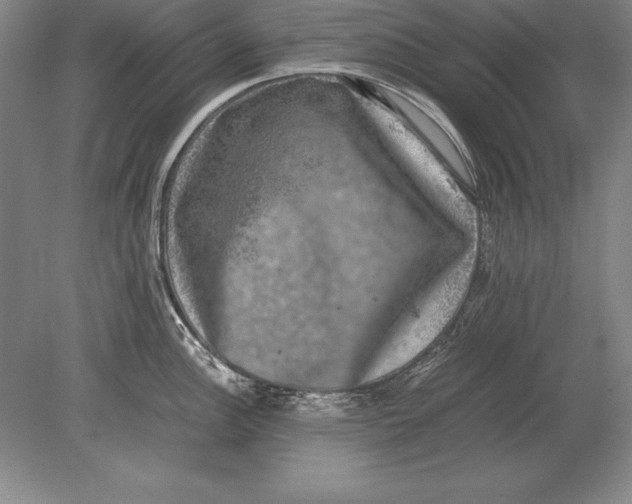 X0000078841148200612041833