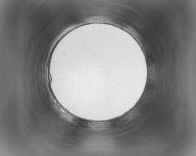 X0000078841150200612041833