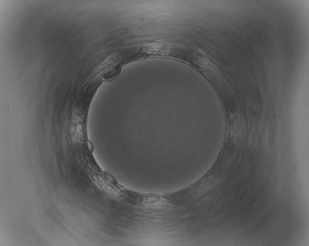 X0000078841154200612041832