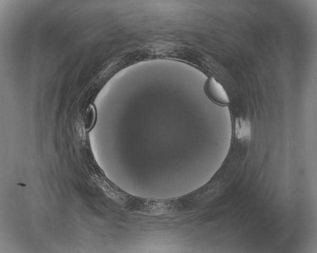 X0000078841155200612041832