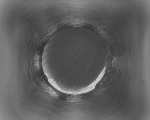 X0000078841156200612041832