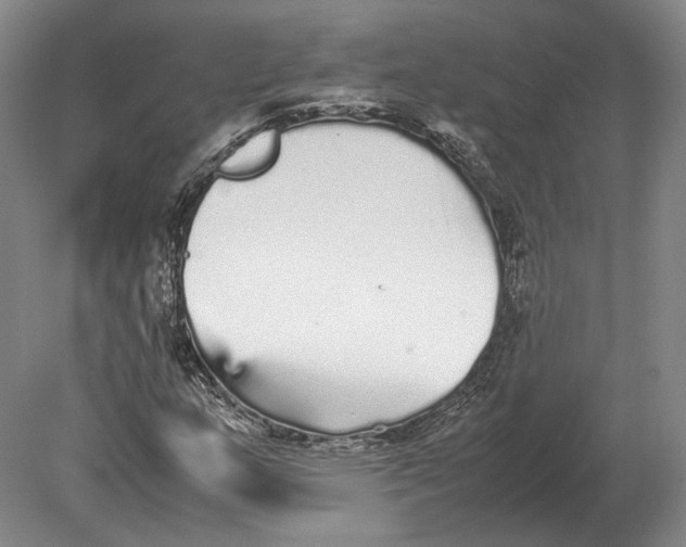 X0000078841159200612041832