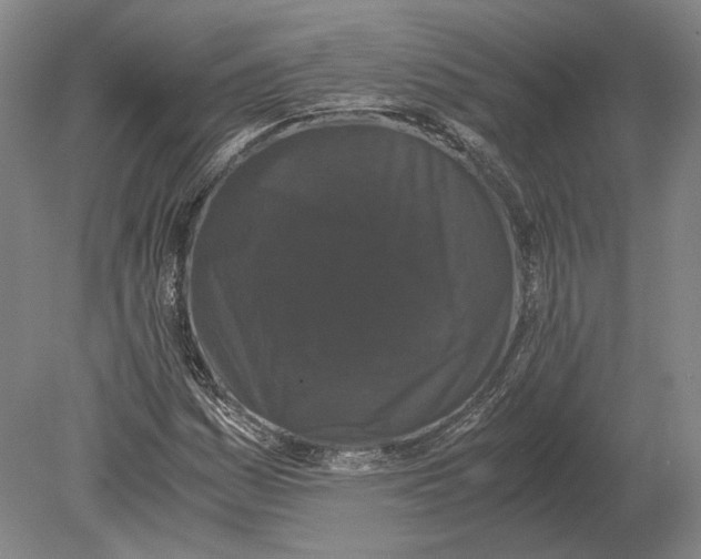 X0000078841161200612041832