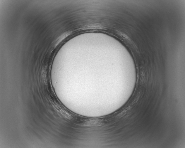 X0000078841162200612041832