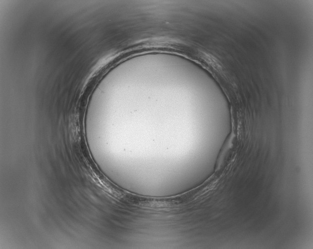 X0000078841164200612041832