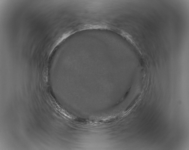 X0000078841165200612041832