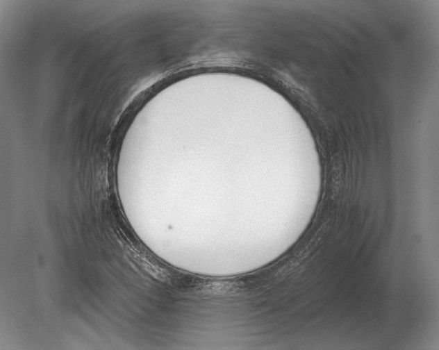 X0000078841166200612041832