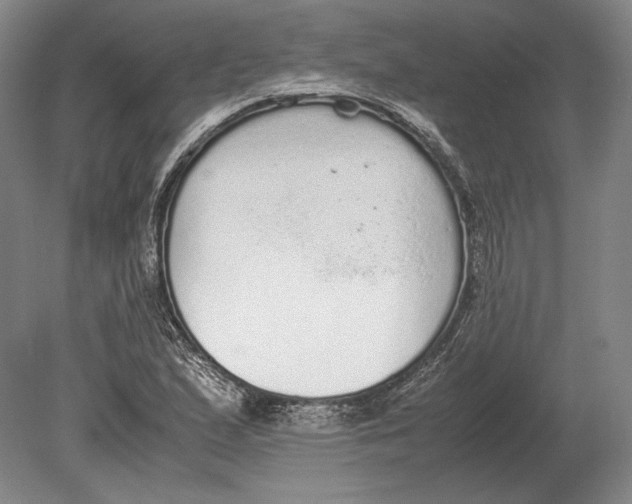 X0000078841167200612041832