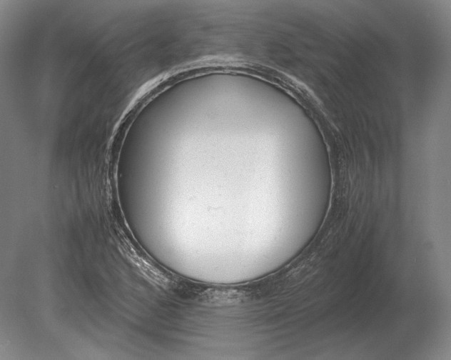 X0000078841168200612041832