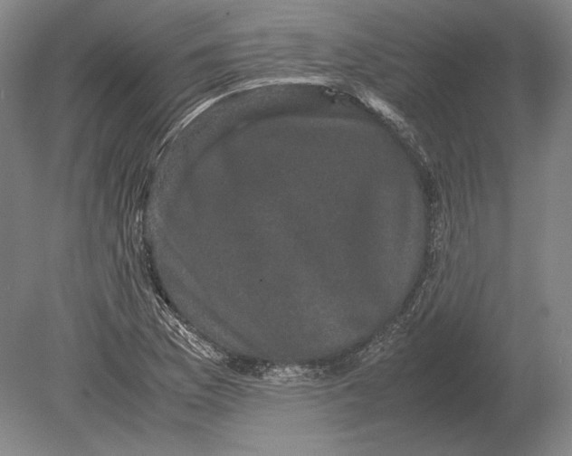 X0000078841169200612041832