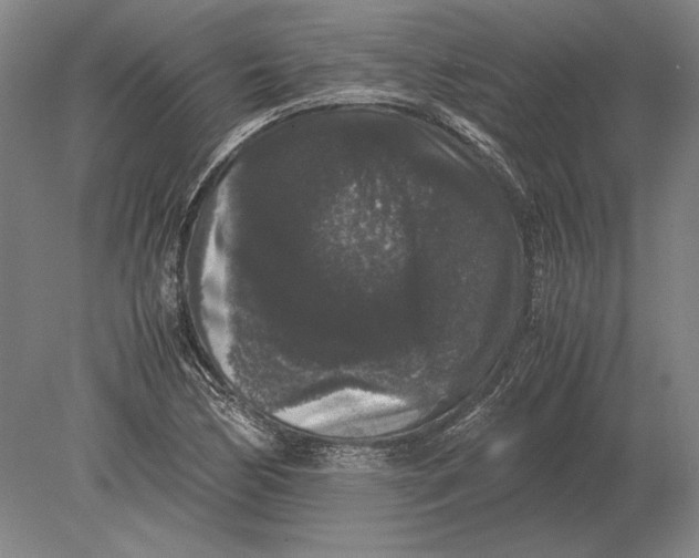 X0000078841170200612041832