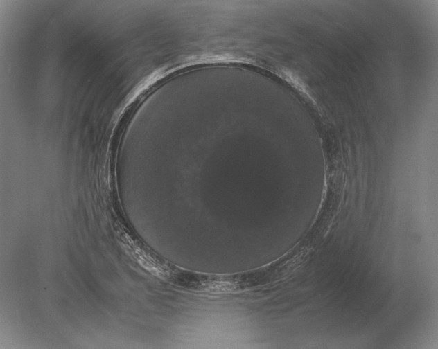 X0000078841173200612041832