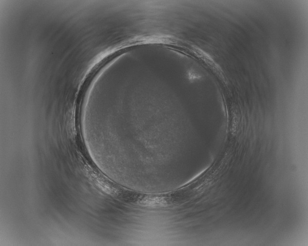 X0000078841174200612041832