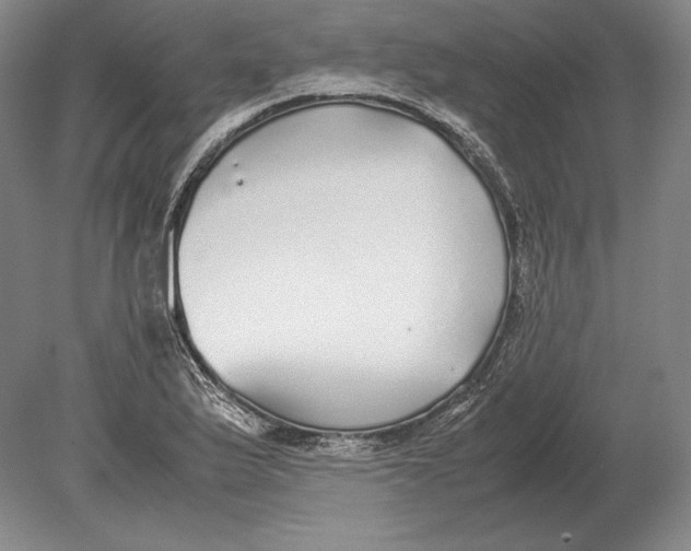 X0000078841175200612041831