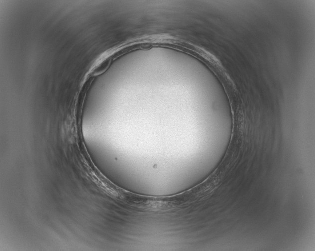 X0000078841176200612041831