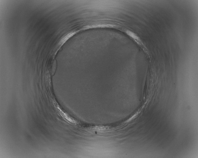 X0000078841177200612041831