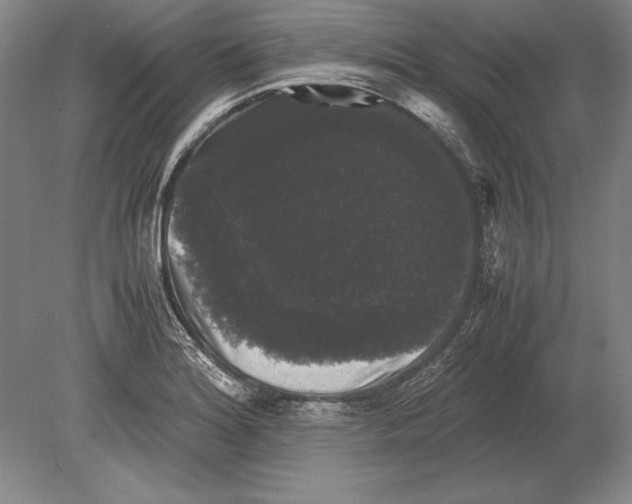 X0000078841180200612041831