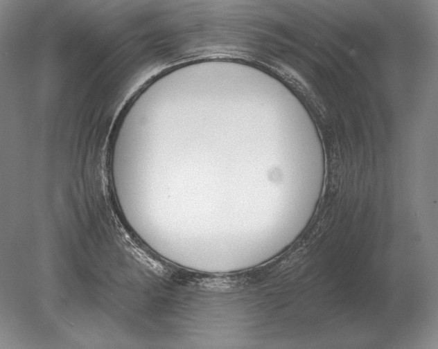 X0000078841182200612041831