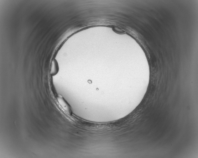 X0000078841187200612041831