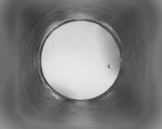 X0000078841191200612041831