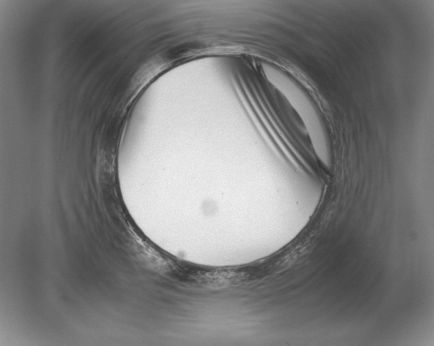 X0000078841193200612041831