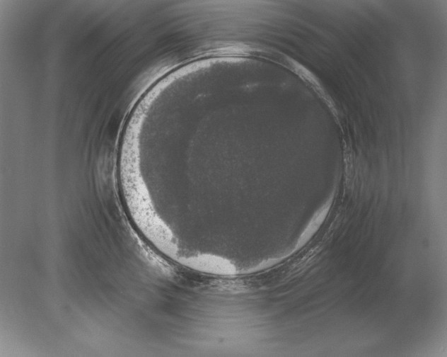 X0000078841194200612041831