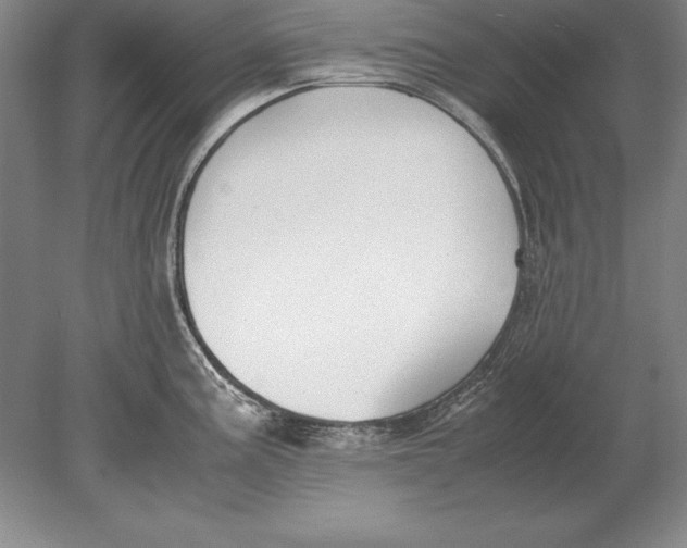 X0000078841195200612041831