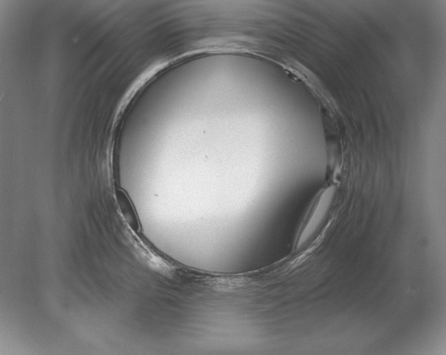 X0000078841196200612041831