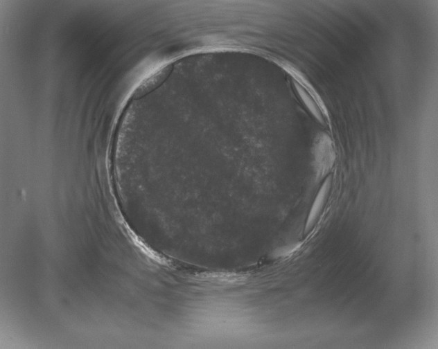 X0000078841197200612041831