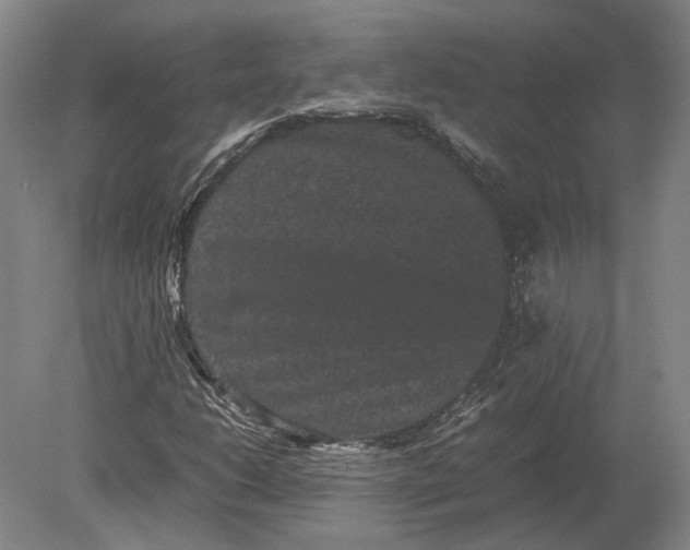 X0000078841206200612041830