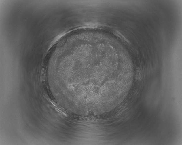 X0000078841208200612041830