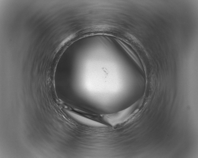 X0000078841210200612041830