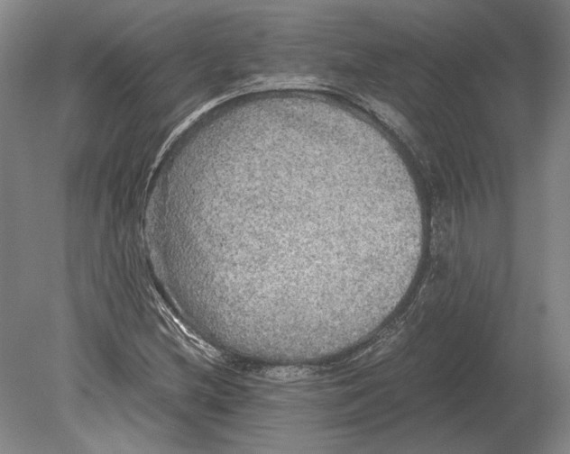 X0000078841212200612041830