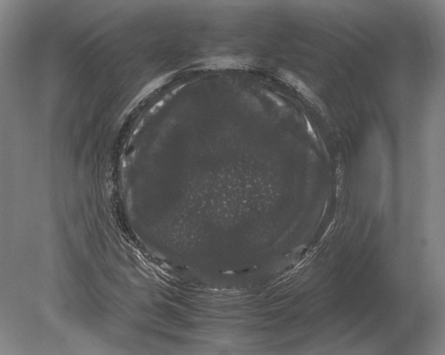 X0000078841213200612041830