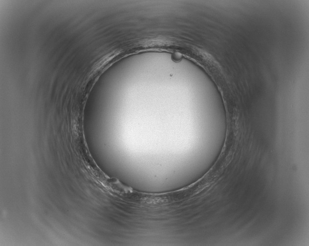 X0000078841217200612041831