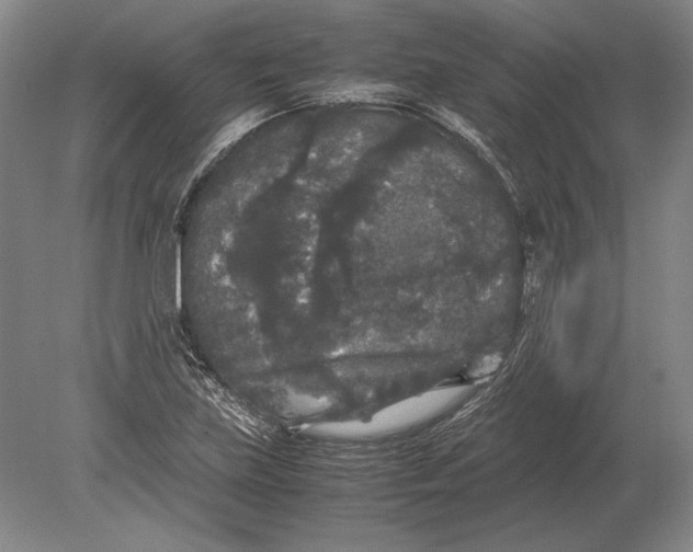 X0000078841219200612041831