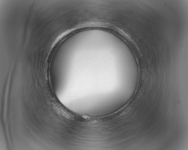 X0000078841222200612041831